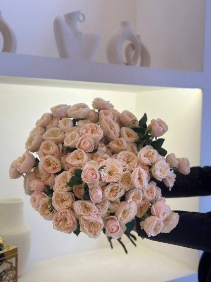 Пионовидная спрей роза кения (дарлингтон) кремовый