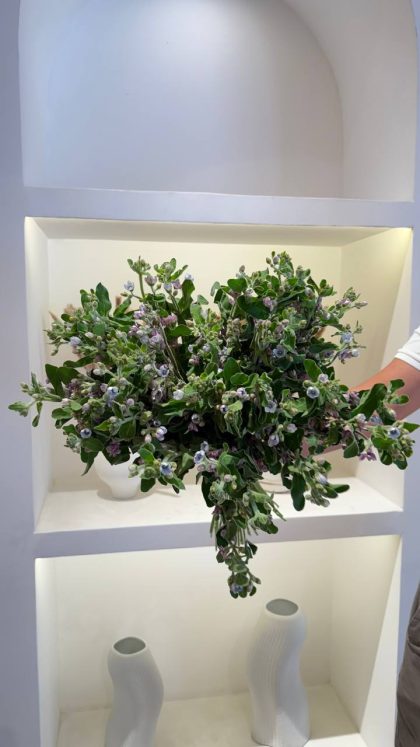 Незабудка Китай (незабудка) Голубой