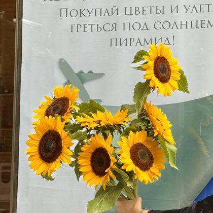 Подсолнух Таджикистан (подсолнух) желтый