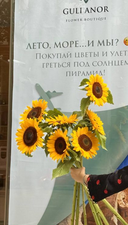 Подсолнух Таджикистан (подсолнух) желтый