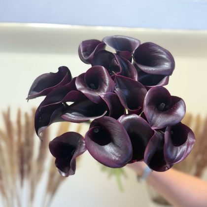 Каллы Китай (калл) черный
