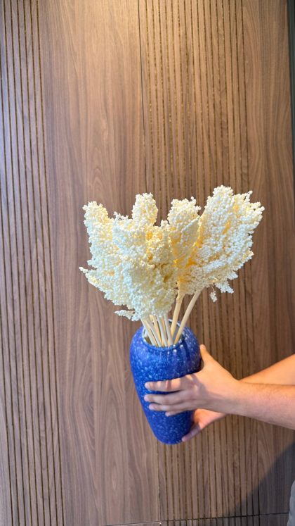 Сорг Москва (сухоцвет) белый