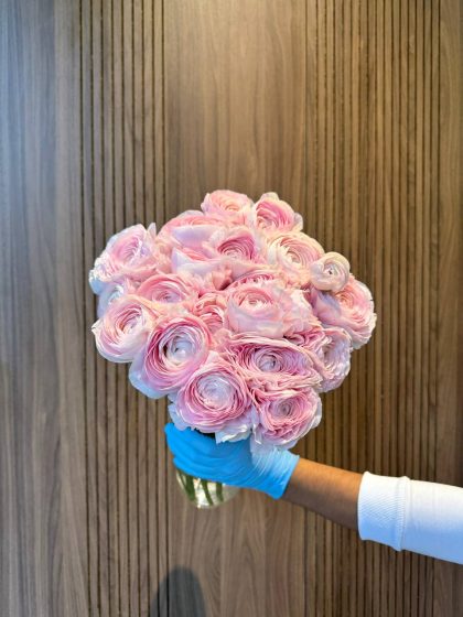 ранункулюс москва (Ранункулюс) розовый