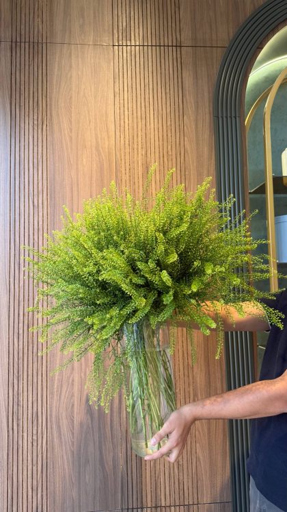 Грин бэлл москва (Green Bell ) зелёный